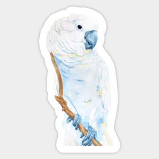 Watercolor umbrella cockatoo - parrot portrait Sticker